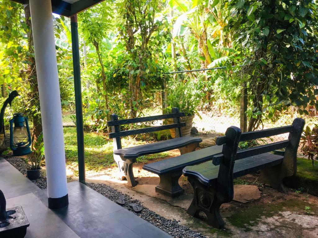 Nature Park 우다왈라웨 외부 사진